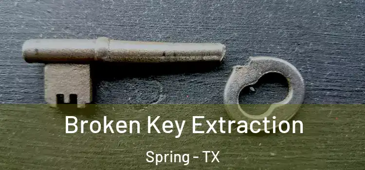 Broken Key Extraction Spring - TX