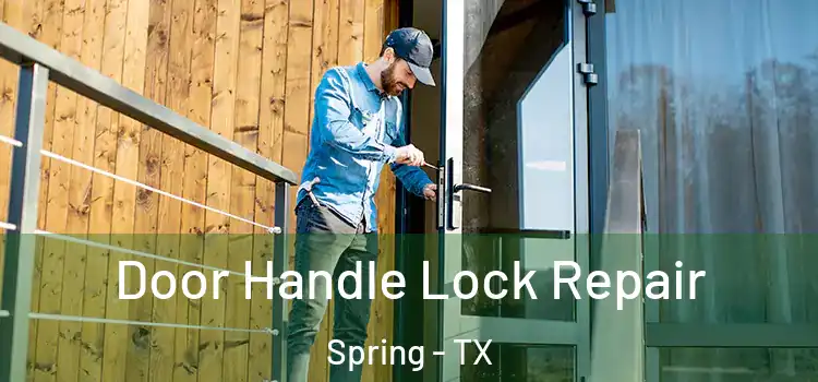 Door Handle Lock Repair Spring - TX