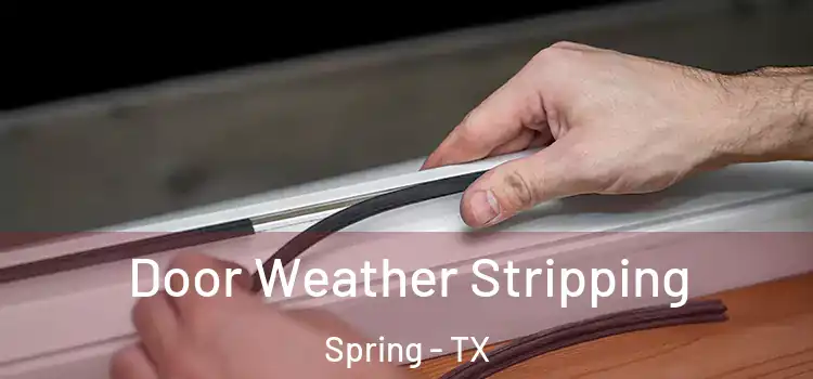 Door Weather Stripping Spring - TX