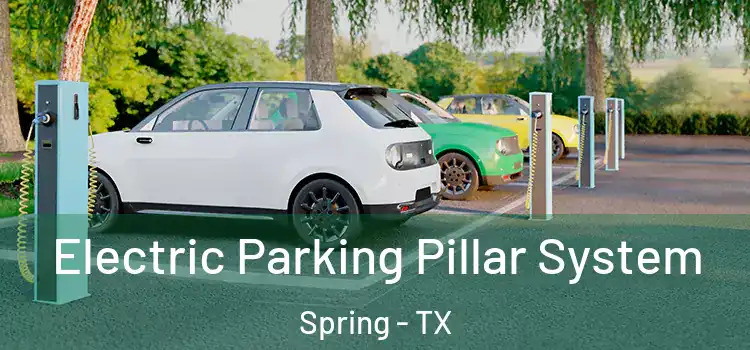 Electric Parking Pillar System Spring - TX