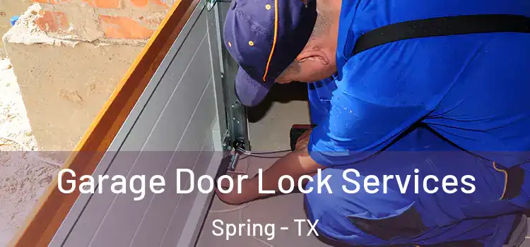 Garage Door Lock Services Spring - TX