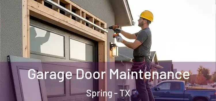 Garage Door Maintenance Spring - TX