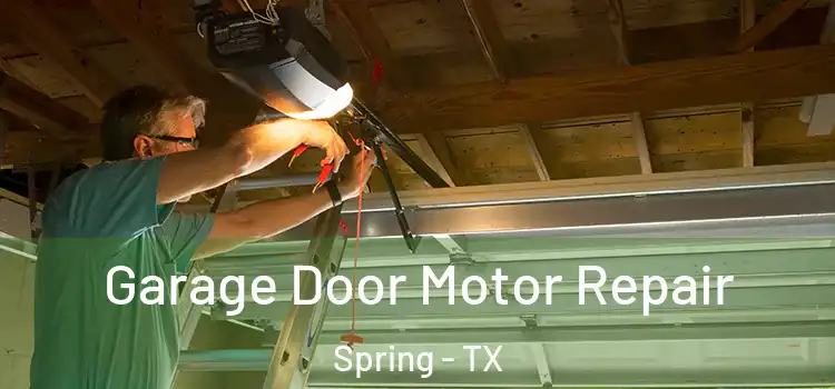  Garage Door Motor Repair Spring - TX
