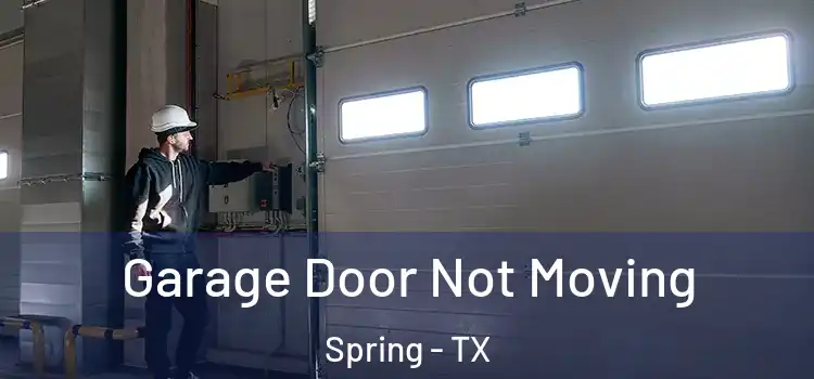  Garage Door Not Moving Spring - TX