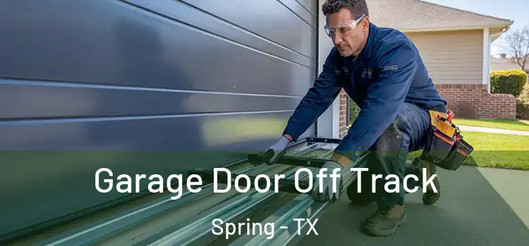  Garage Door Off Track Spring - TX