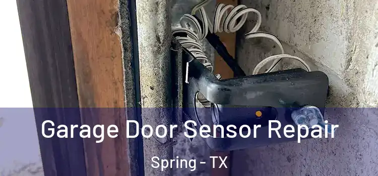 Garage Door Sensor Repair Spring - TX