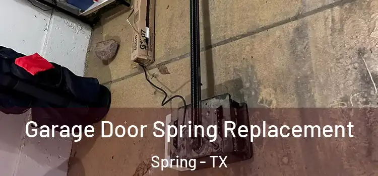  Garage Door Spring Replacement Spring - TX