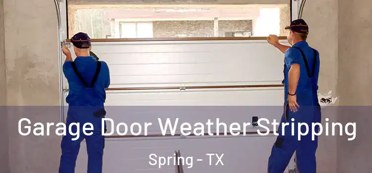  Garage Door Weather Stripping Spring - TX