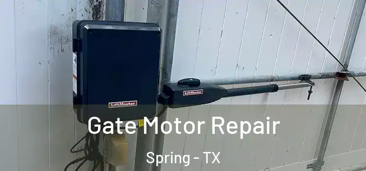 Gate Motor Repair Spring - TX