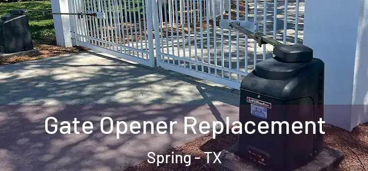 Gate Opener Replacement Spring - TX