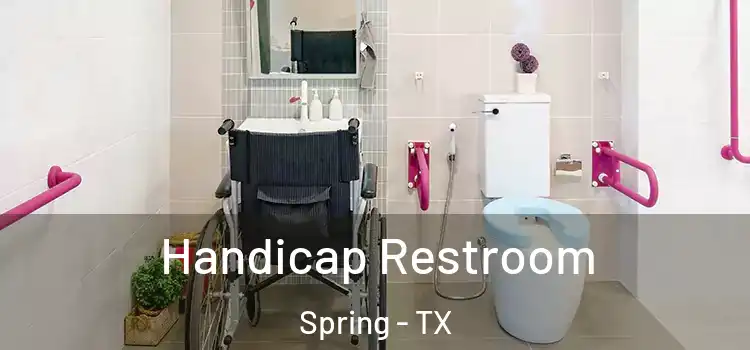 Handicap Restroom Spring - TX