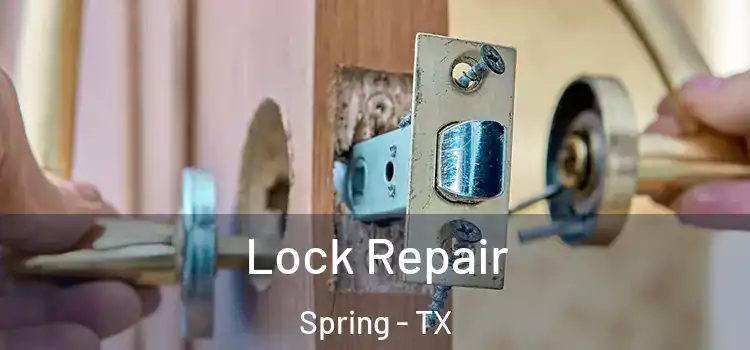 Lock Repair Spring - TX
