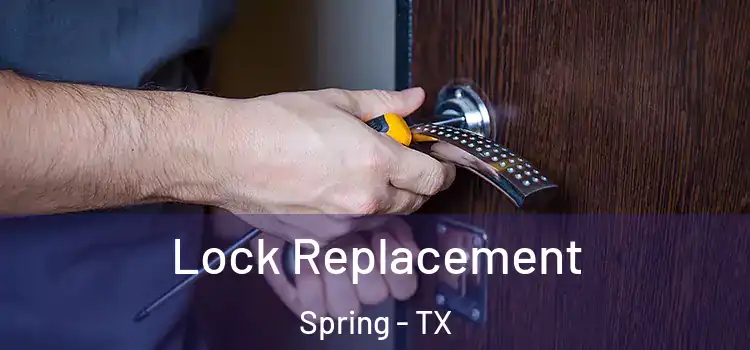 Lock Replacement Spring - TX