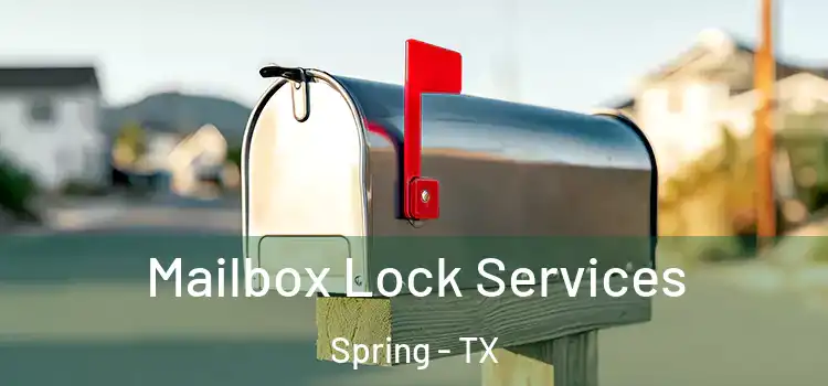 Mailbox Lock Services Spring - TX