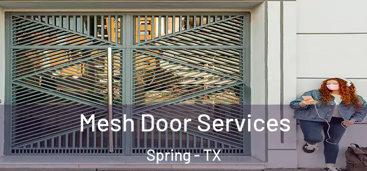 Mesh Door Services Spring - TX