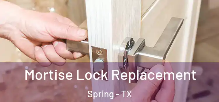 Mortise Lock Replacement Spring - TX