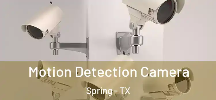  Motion Detection Camera Spring - TX