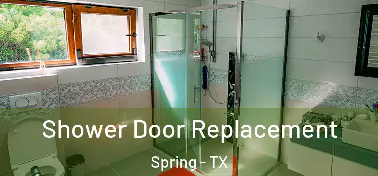 Shower Door Replacement Spring - TX